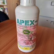apex